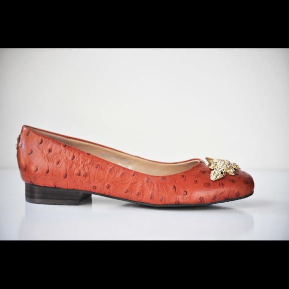 DIANA E. KELLY Alligator Brooch Ostrich Shoes 6 - Picture 2 of 11